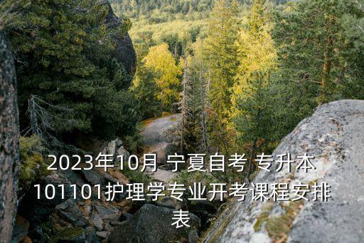 2023年10月 寧夏自考 專升本101101護(hù)理學(xué)專業(yè)開考課程安排表