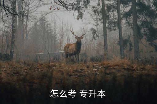 怎么考 專升本