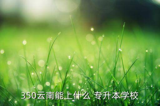 云南省音樂教育專升本,音樂教育專升本可以考什么專業(yè)