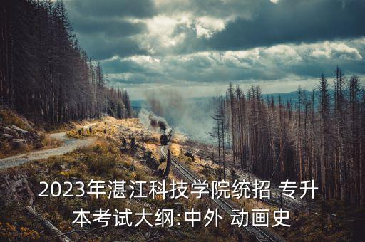 2023年湛江科技學院統(tǒng)招 專升 本考試大綱:中外 動畫史