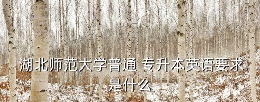  湖北師范大學(xué)普通 專升本英語要求是什么