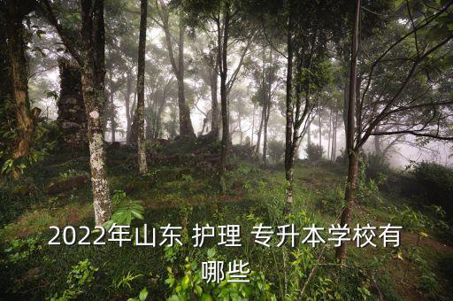 2022年山東 護(hù)理 專升本學(xué)校有哪些