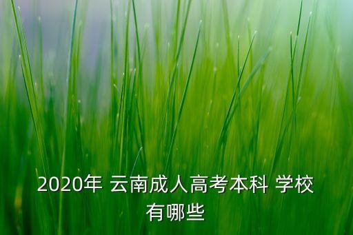 2020年 云南成人高考本科 學(xué)校有哪些