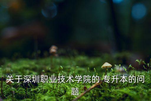 深職專升本臺(tái)灣,深職能不能專升本