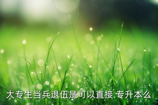 士官學院畢業(yè) 專升本,專升本畢業(yè)當兵套士官直接第幾年