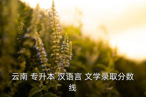 云南 專升本 漢語言 文學(xué)錄取分?jǐn)?shù)線