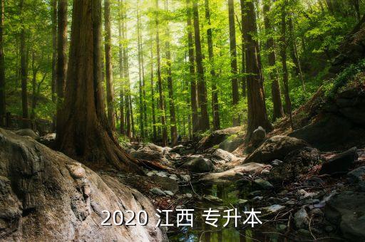 江西財大語文專升本,2021年江西財大專升本錄取分數(shù)線