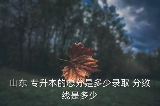 山東 專(zhuān)升本的總分是多少錄取 分?jǐn)?shù)線(xiàn)是多少