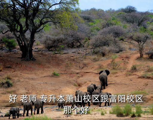 好 老師 專升本蕭山校區(qū)跟富陽(yáng)校區(qū)那個(gè)好