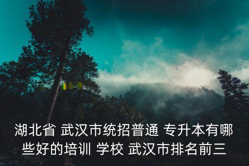 湖北省 武漢市統(tǒng)招普通 專升本有哪些好的培訓(xùn) 學(xué)校 武漢市排名前三