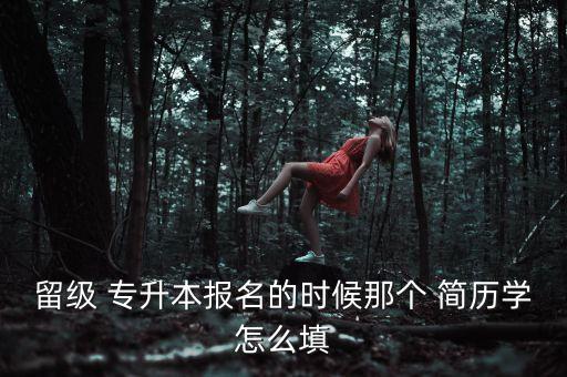 專升本 簡(jiǎn)歷