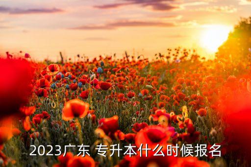 2023廣東 專升本什么時(shí)候報(bào)名