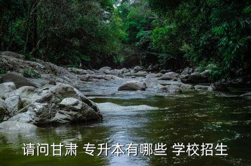 請問甘肅 專升本有哪些 學(xué)校招生