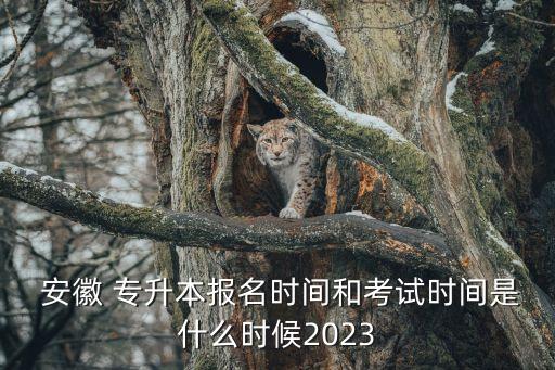  安徽 專升本報名時間和考試時間是什么時候2023