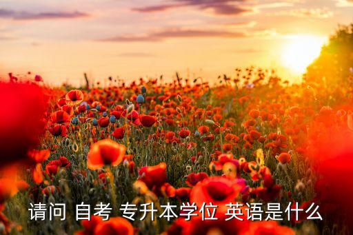 請問 自考 專升本學(xué)位 英語是什么