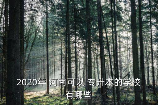 2020年 河南可以 專升本的學(xué)校有哪些