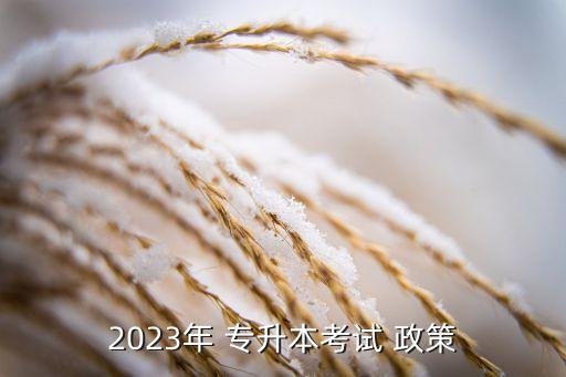 2023年 專升本考試 政策