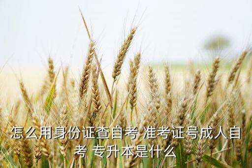 專升本準(zhǔn)考證號怎么查詢,安徽專升本準(zhǔn)考證號查詢