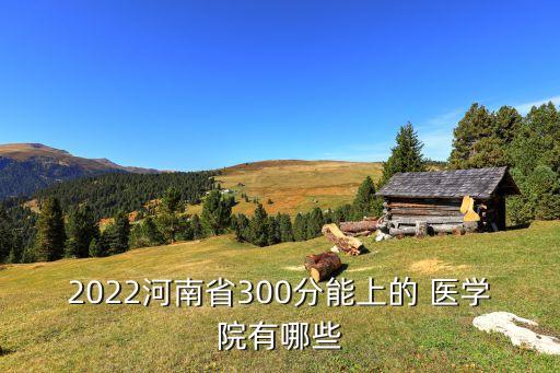 2022河南省300分能上的 醫(yī)學院有哪些