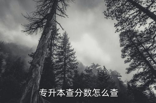  專升本查分?jǐn)?shù)怎么查