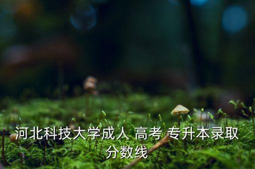 河北科技大學成人 高考 專升本錄取分數(shù)線