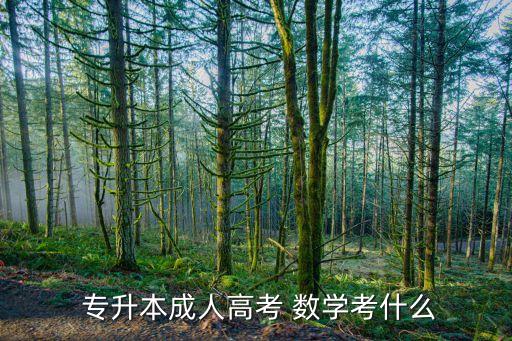 山西省專升本數(shù)學(xué)真題,山西專升本2022年數(shù)學(xué)真題