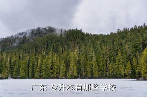 佛山市科技學(xué)院專升本專業(yè),濰坊科技學(xué)院專升本專業(yè)