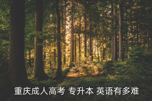  重慶成人高考 專升本 英語有多難