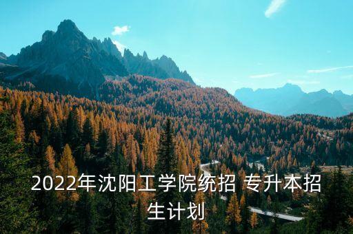 2022年沈陽工學院統(tǒng)招 專升本招生計劃