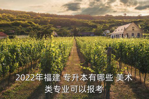 2022年福建 專升本有哪些 美術(shù)類專業(yè)可以報考