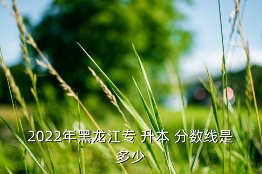 2022年黑龍江專 升本 分數(shù)線是多少