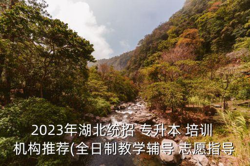 2023年湖北統(tǒng)招 專升本 培訓(xùn) 機(jī)構(gòu)推薦(全日制教學(xué)輔導(dǎo) 志愿指導(dǎo)