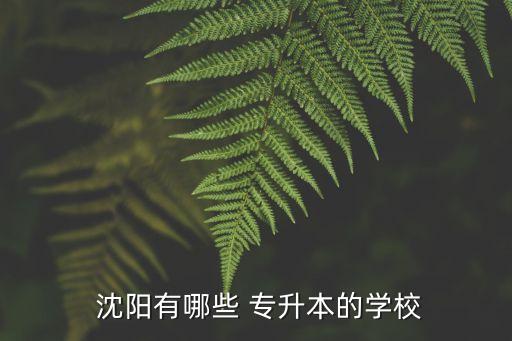 沈陽大學(xué)專升本校區(qū)