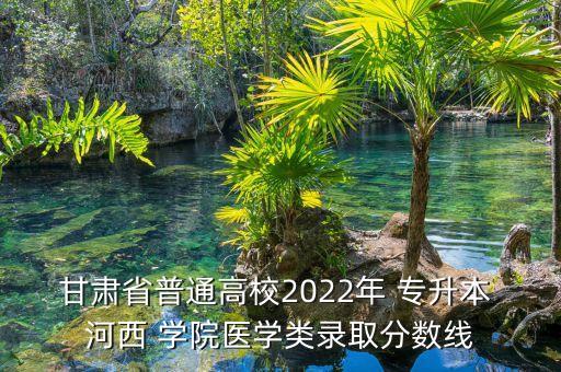 甘肅省普通高校2022年 專升本 河西 學(xué)院醫(yī)學(xué)類錄取分?jǐn)?shù)線