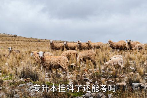 體育重修還能不能專升本,重修一年還能不能專升本