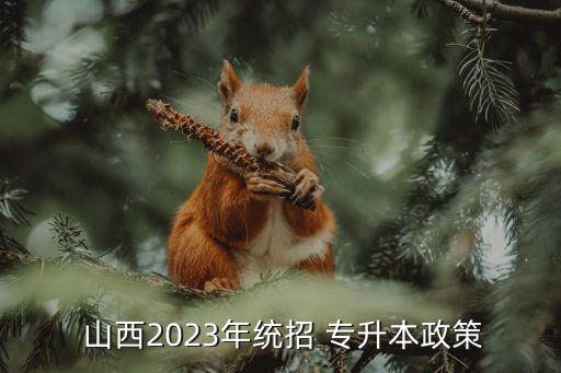  山西2023年統(tǒng)招 專升本政策