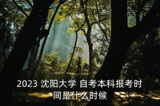 2023 沈陽大學 自考本科報考時間是什么時候