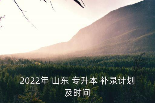 2022年 山東 專升本 補(bǔ)錄計(jì)劃及時(shí)間