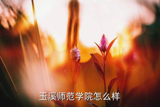 華僑崇圣大學(xué)專升本,泰國華僑崇圣大學(xué)怎么樣