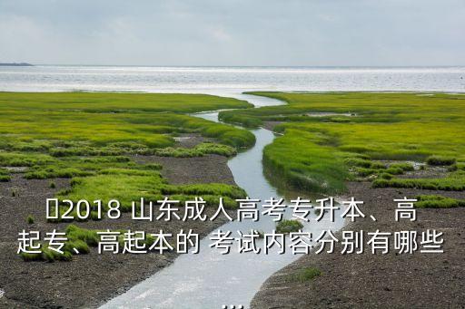 ?2018 山東成人高考專升本、高起專、高起本的 考試內(nèi)容分別有哪些...