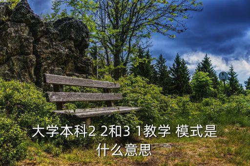 大學(xué)本科2 2和3 1教學(xué) 模式是什么意思