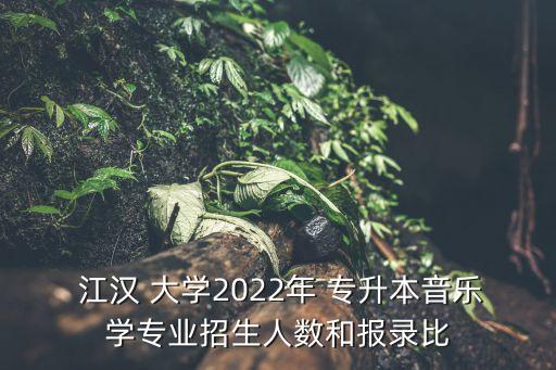  江漢 大學(xué)2022年 專(zhuān)升本音樂(lè)學(xué)專(zhuān)業(yè)招生人數(shù)和報(bào)錄比