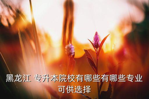 黑龍江 專升本院校有哪些有哪些專業(yè)可供選擇