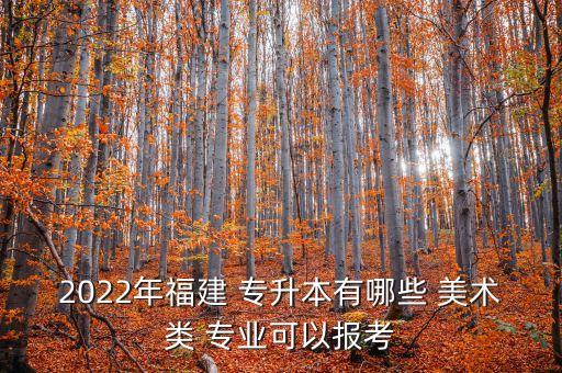 2022年福建 專升本有哪些 美術類 專業(yè)可以報考