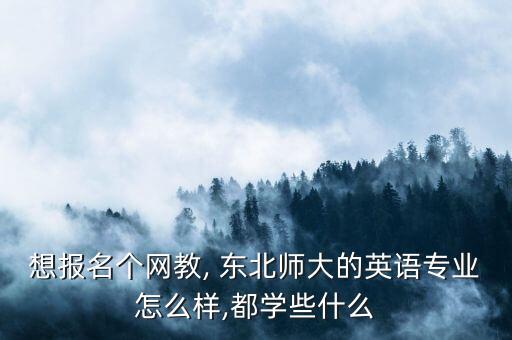 想報名個網(wǎng)教, 東北師大的英語專業(yè)怎么樣,都學些什么