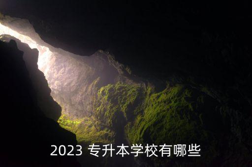 2023 專升本學(xué)校有哪些