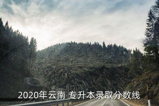 2020年云南 專升本錄取分?jǐn)?shù)線