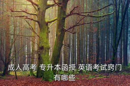 成考專升本英語(yǔ)貼吧,2022年成考專升本英語(yǔ)真題