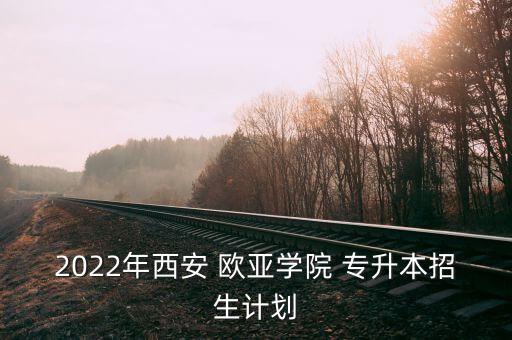 2022年西安 歐亞學(xué)院 專升本招生計劃