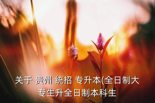 關(guān)于 貴州 統(tǒng)招 專升本(全日制大專生升全日制本科生